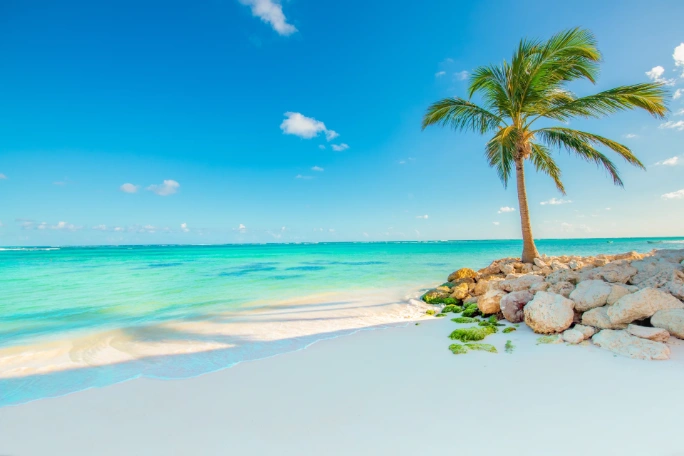 Vuelos a Punta Cana: guía completa para reservar tu viaje al Caribe