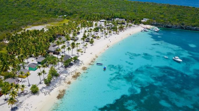 Vista aérea de isla Catalina, en República Dominicana, con playa de arena blanca, palmeras y aguas turquesas del Caribe