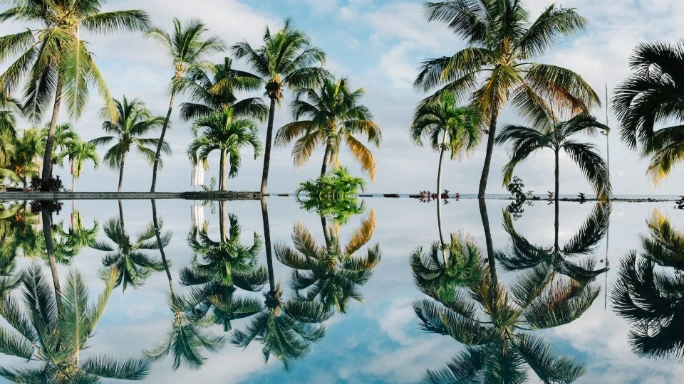 essence quality absolut - gamas de viaje azulmarino