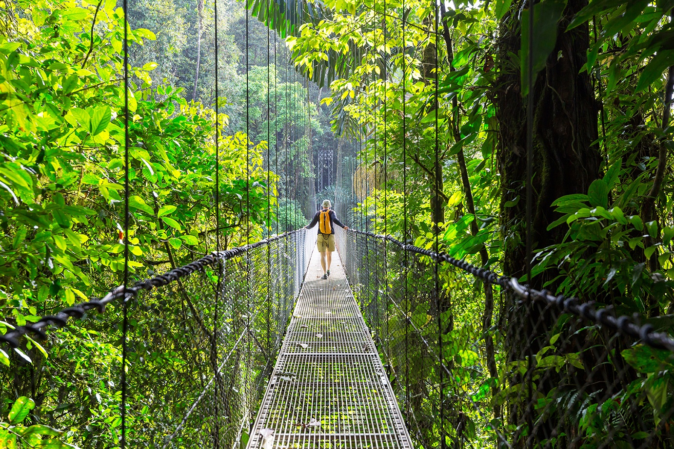 Férias ecológicas & glamping