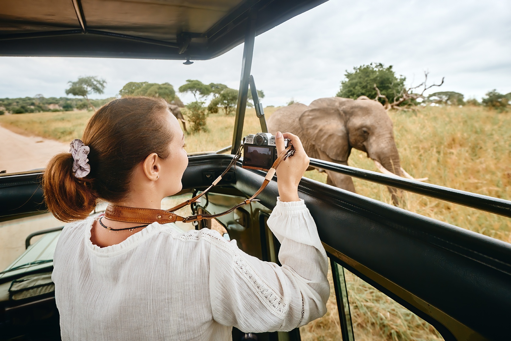Safaris fotográficos