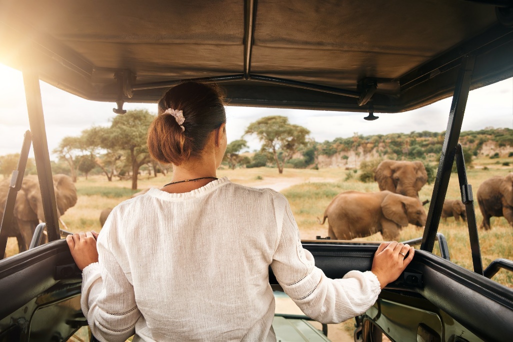 ext-turista-camion-techo-abierto-safari-tarangire