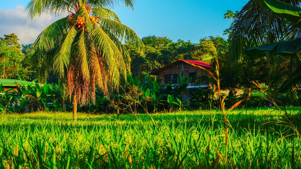 panoramica-vista-costa-rica