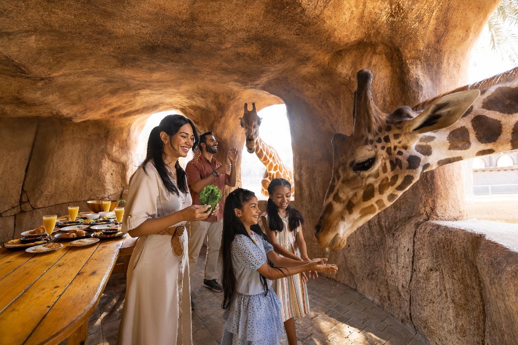 Enjoy-a-meal-with-the-Giraffes---Emirates-Park-Zoo