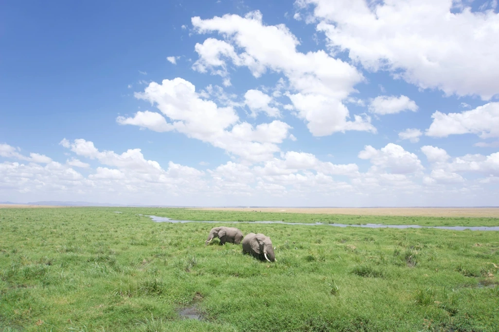 Parque_Amboseli_Kenia_1