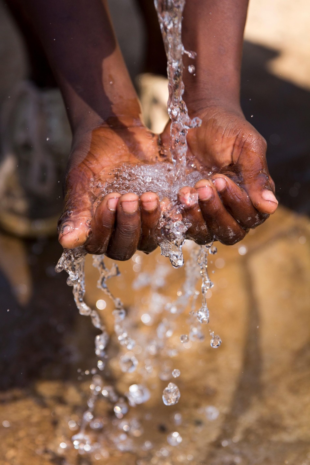Luangwa_BioCarbon-Partners-Hands