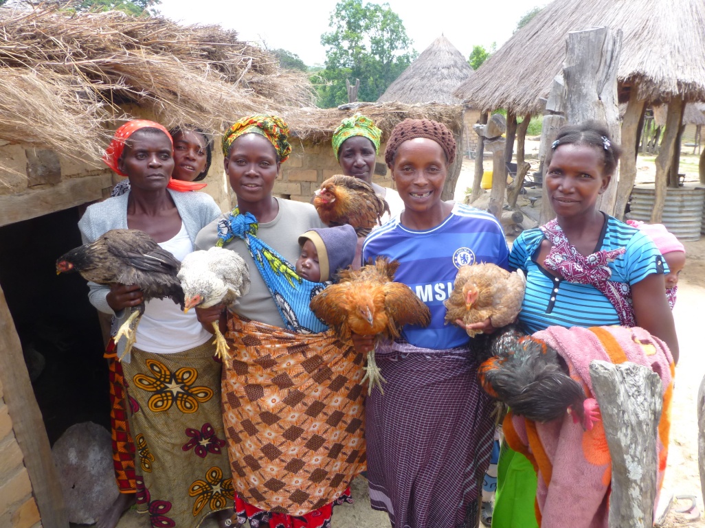 luangwa-biocarbon-partners
