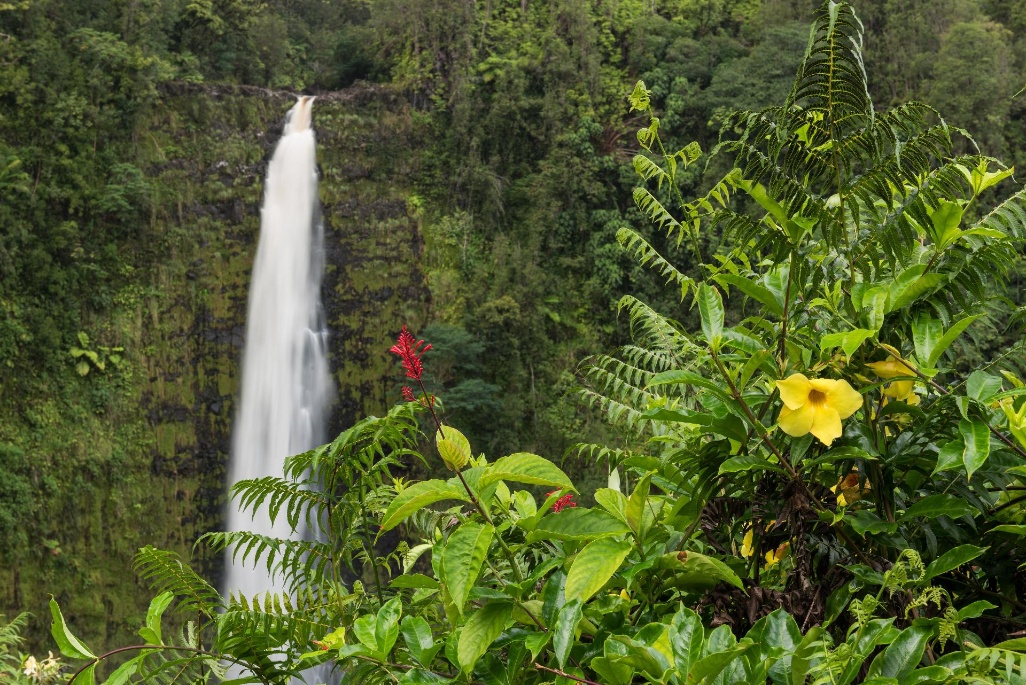 Expedición Gabon, el último Edén