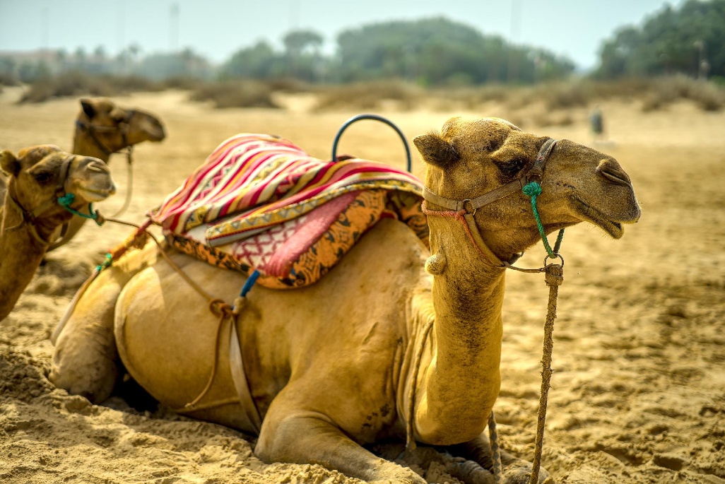 saidia-marruecos-1