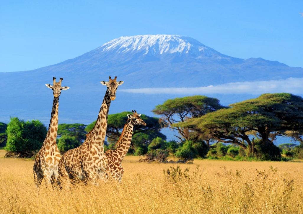 tanzania-kilimanjaro-2