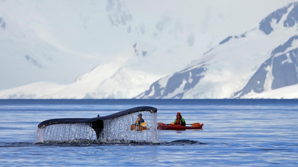 Antártida más allá del fin del mundo Weddell Sea explorer Basecamp Antártida más allá del fin del mundo Weddell Sea explorer Basecamp
