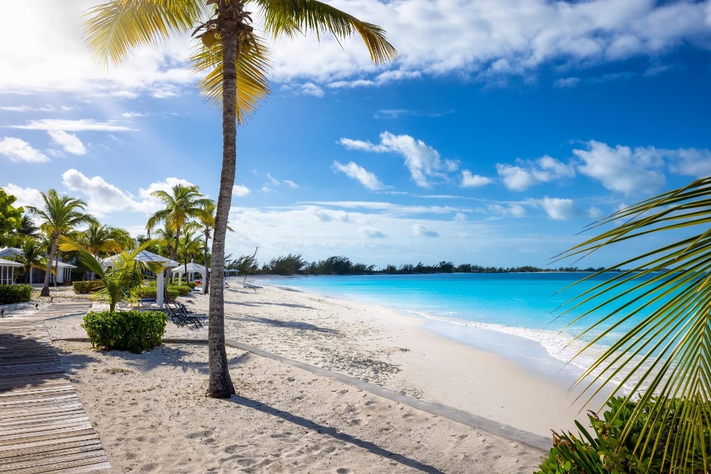 shutterstock_2165005109