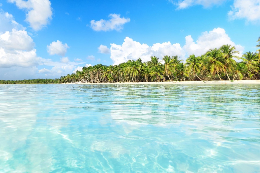 shutterstock_1022816641