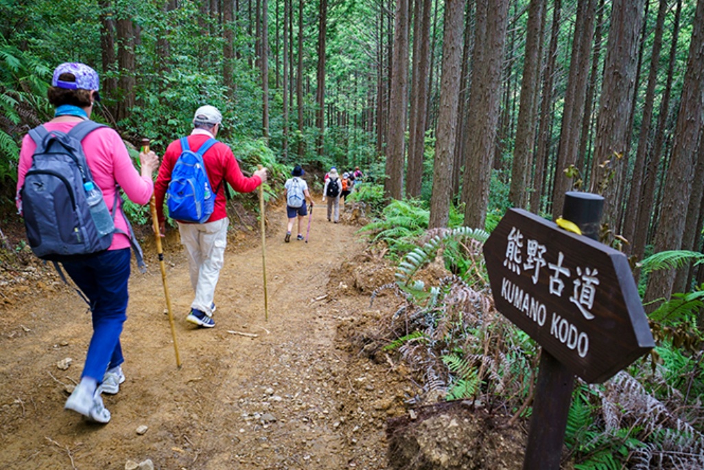 Kumano Kodo, el camino sagrado Kumano Kodo, el camino sagrado