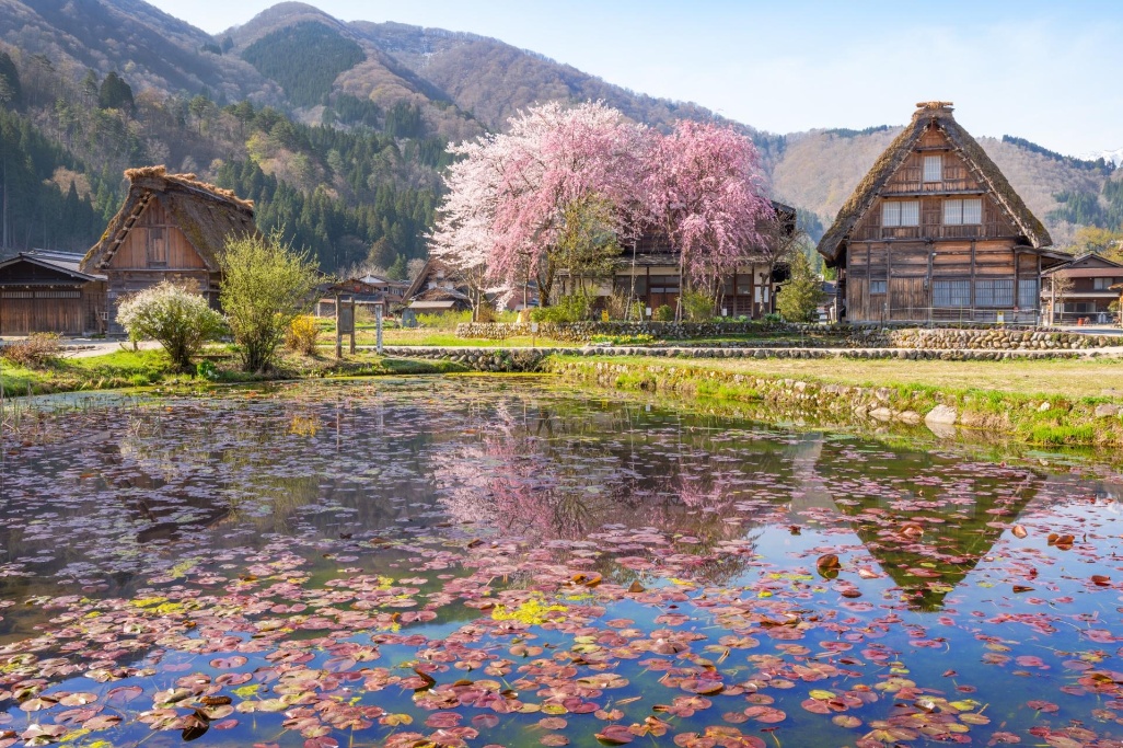 Shirakawago-2