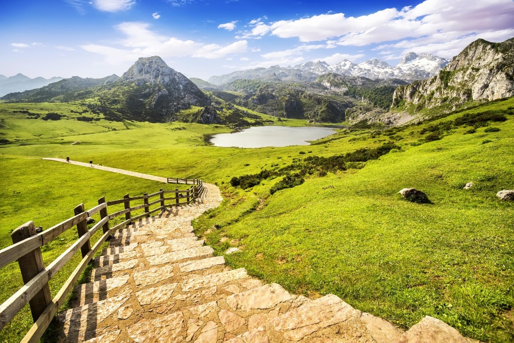 shutterstock_143990113