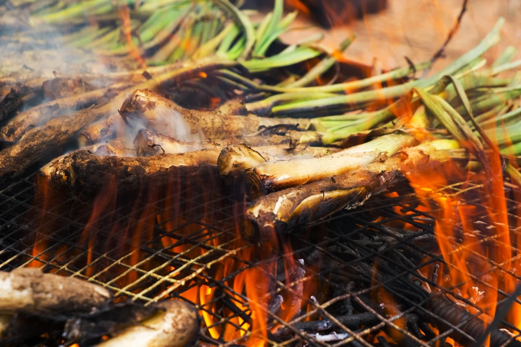 cataluna-gastronomia-calcots