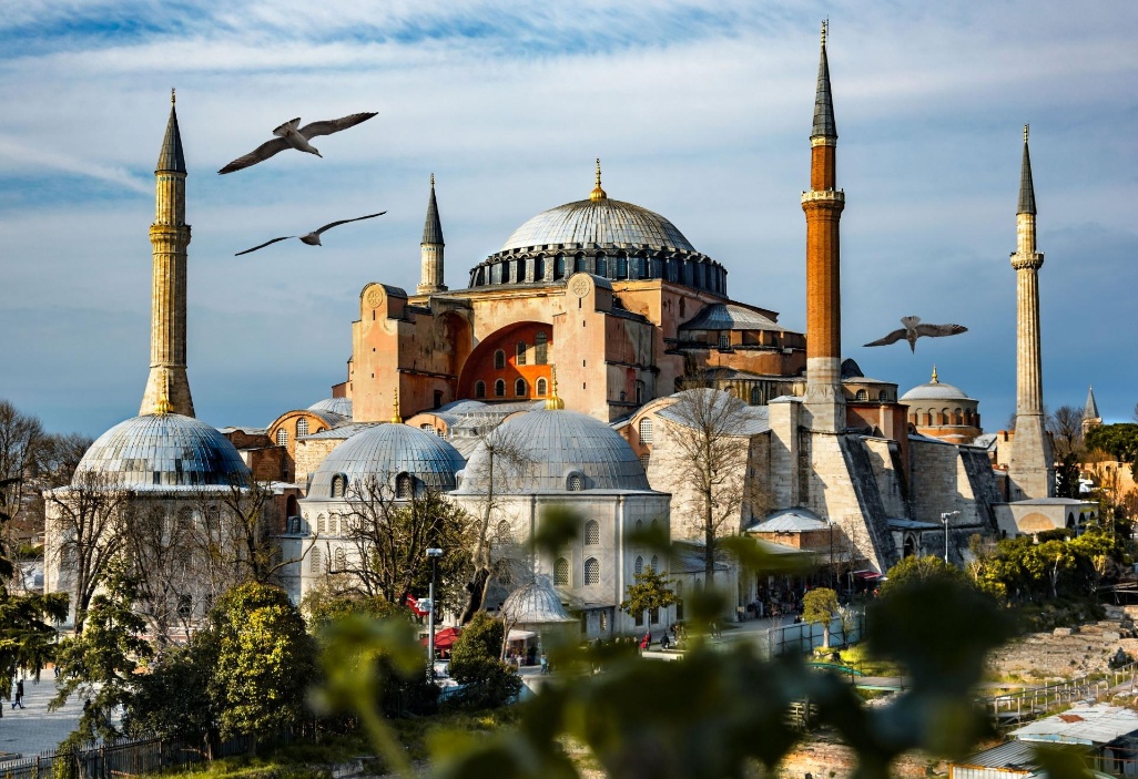 Mezquita-Azul-con-pajaros