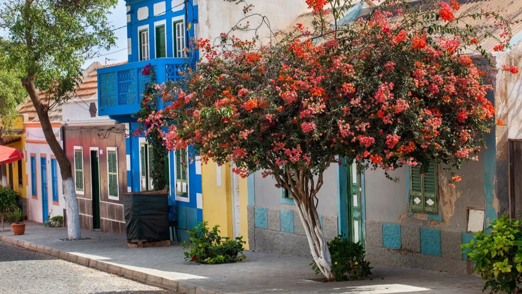 viajes a africa viajar a cabo verde boa vista