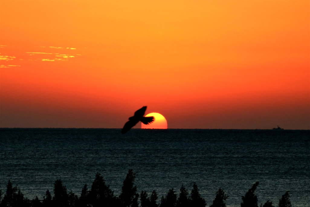 Hurghada egipto