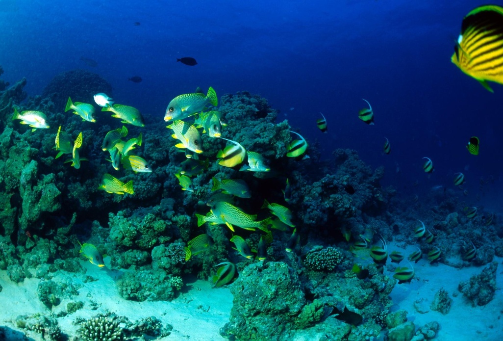 Hurghada egipto