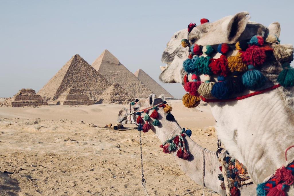 excursión en camello a las pirámides de Giza en El Cairo Egipto