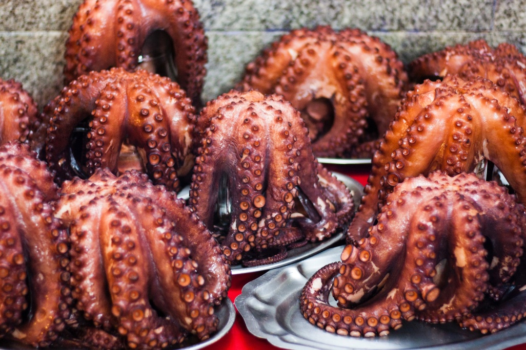 pulpo comida gastronomia galicia españa