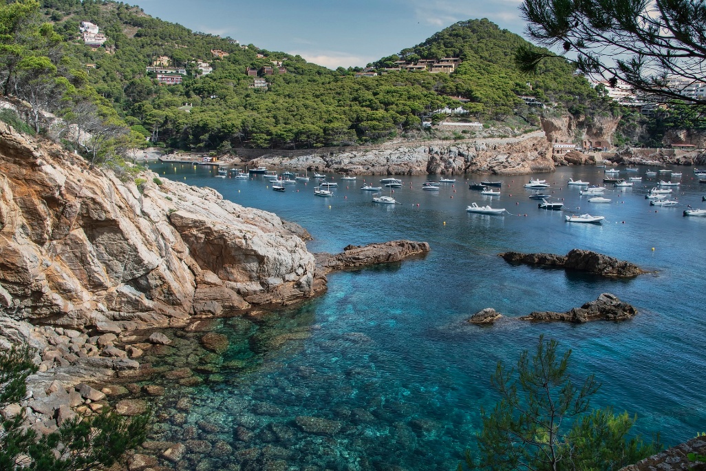 Cala en Costa brava, mar