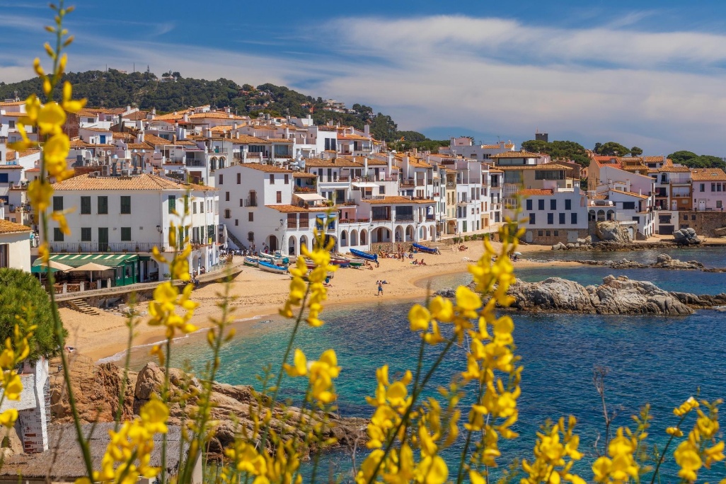 panorámica de la costa y playa de calella de palafrugell en costa brava