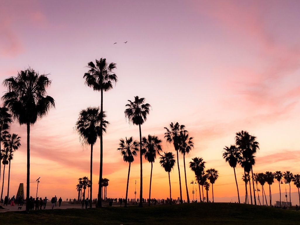 Atardecer con palmeras en Venice Beach Los Ángeles