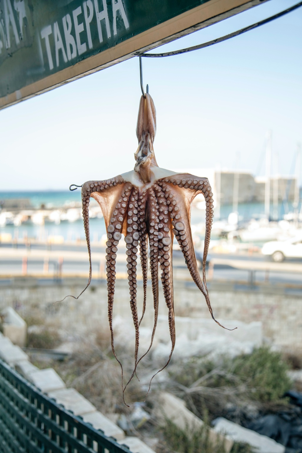 corfu grecia playa pulpo gastronomia