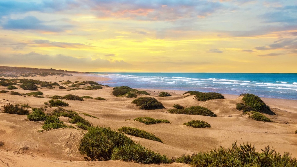 agadir-playa