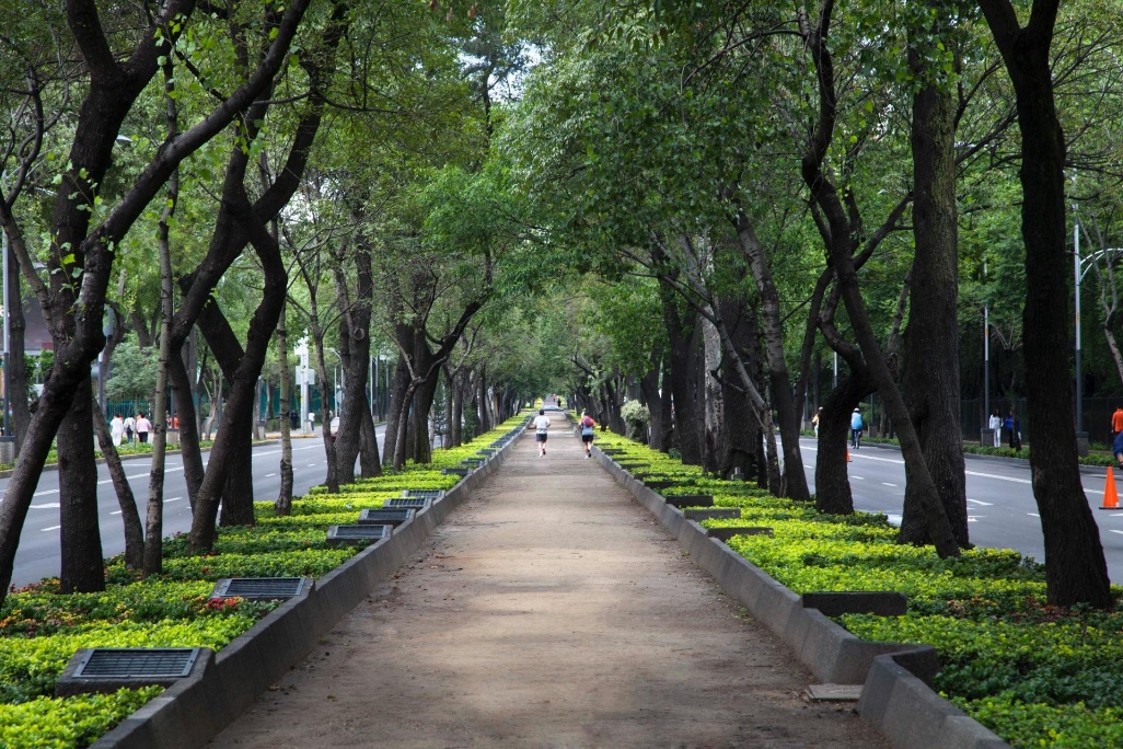 corredores por el Paseo de la Reforma en Ciudad de México