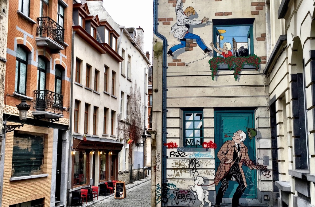 bélgica ver