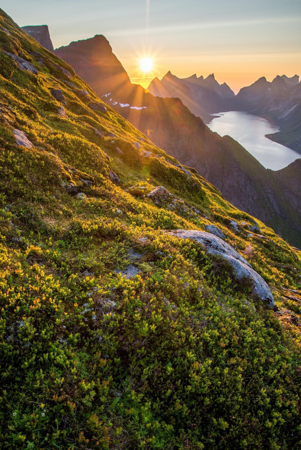sostenibilidad noruega