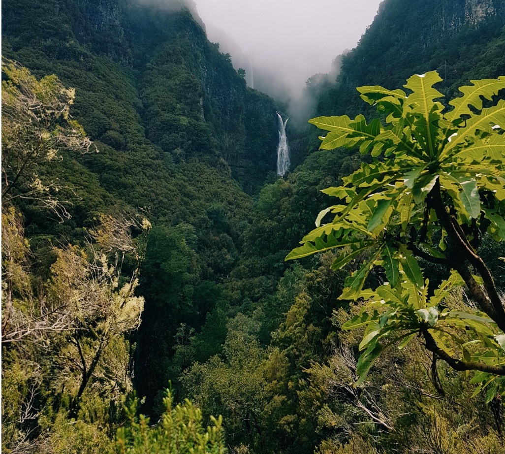 sostenibilidad portugal madeira