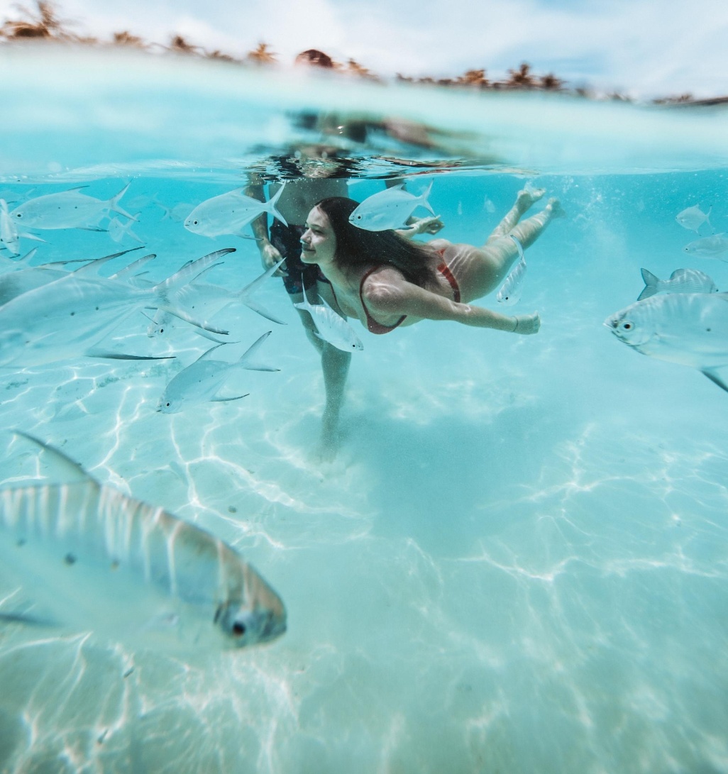 buceo snorkel mexico