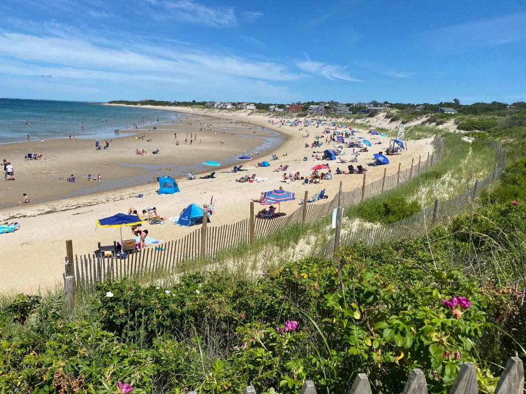 playa boston