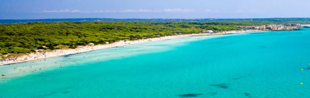 1100x250_Mallorca_playas