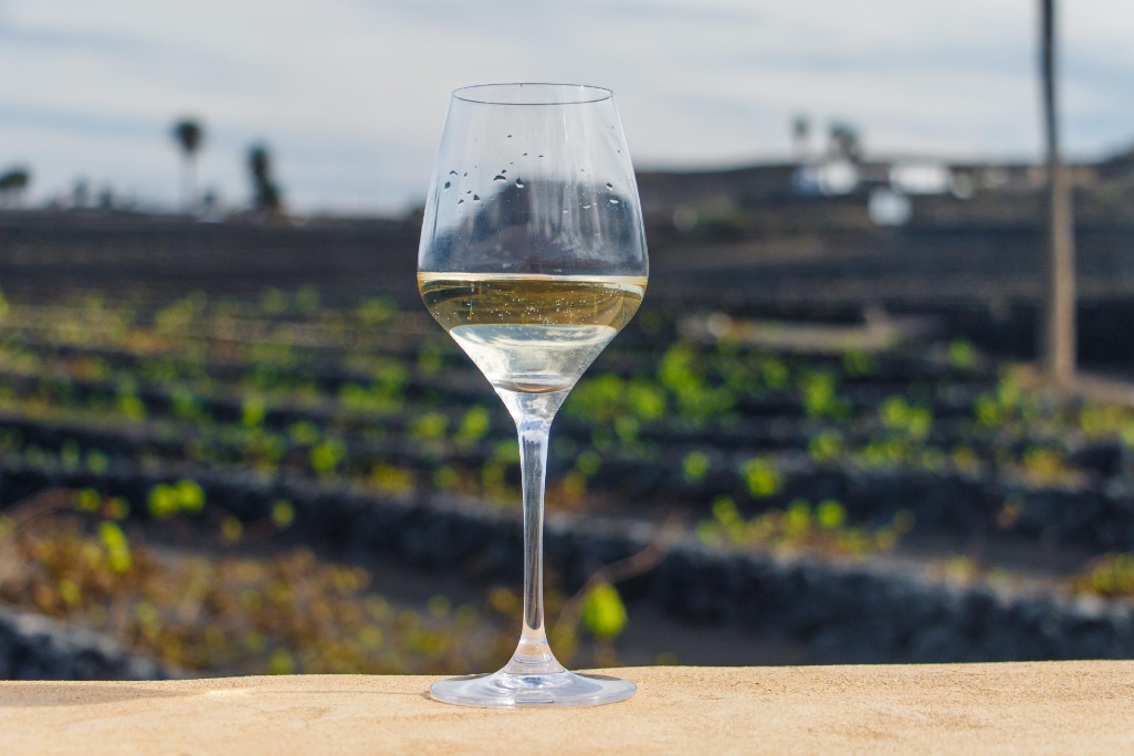 Bodegas_LaFlorida_HR_Turismo-Lanzarote