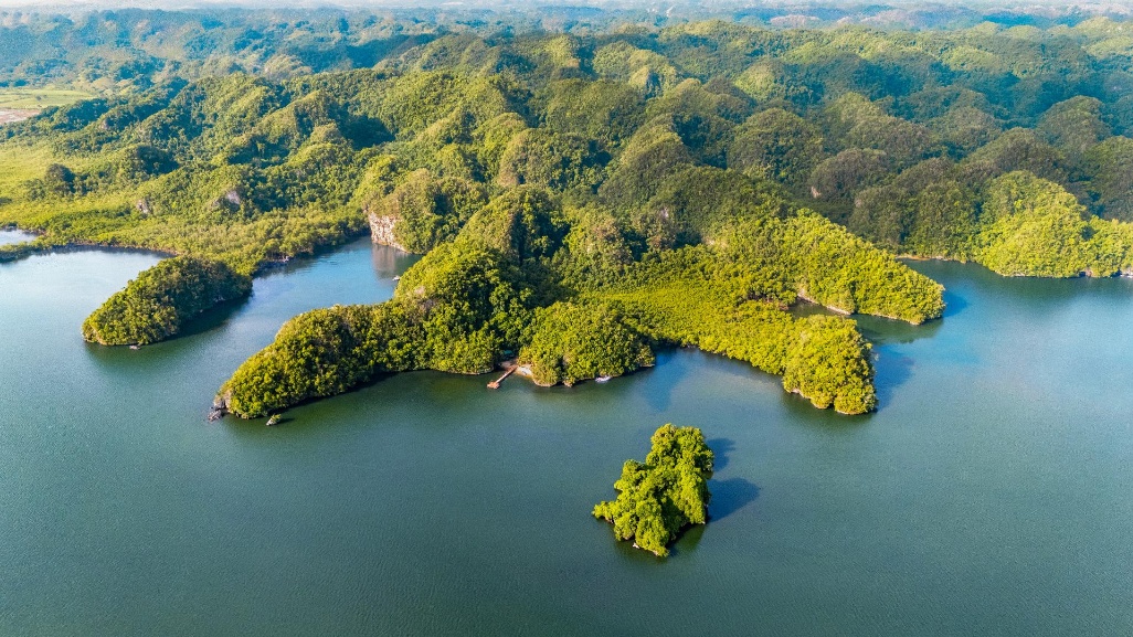 Bahia-samana-RD