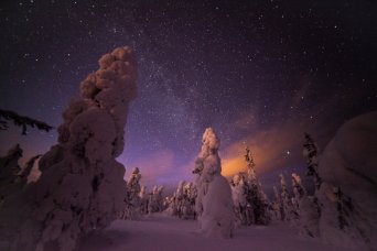 7 razones para visitar Laponia en invierno
