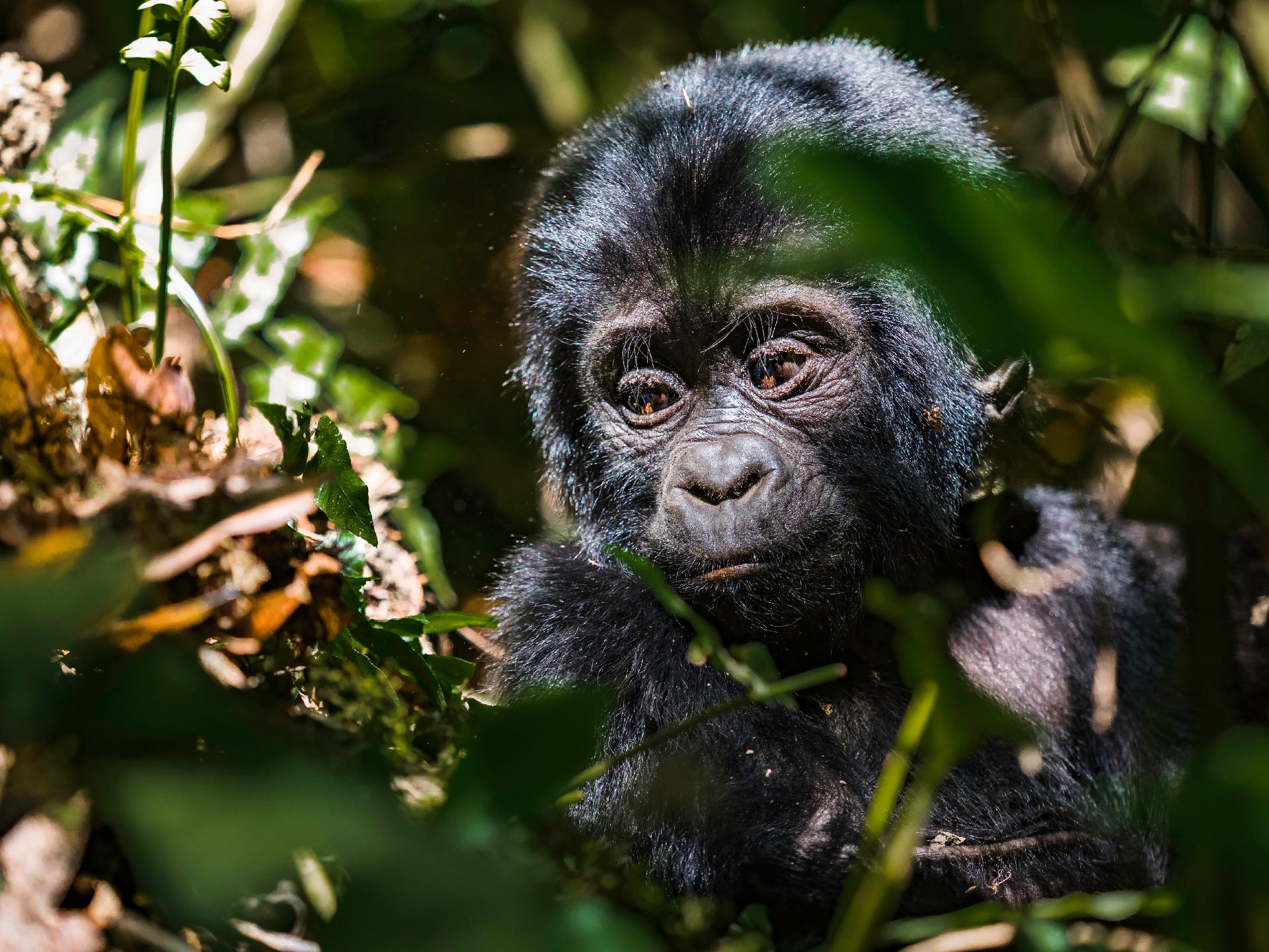 BELLEZAS DE RUANDA