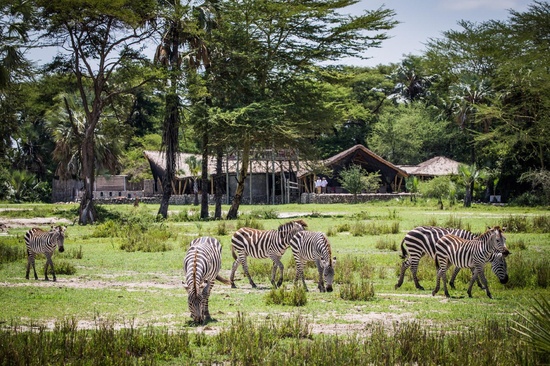Tanzania en lujo para dos