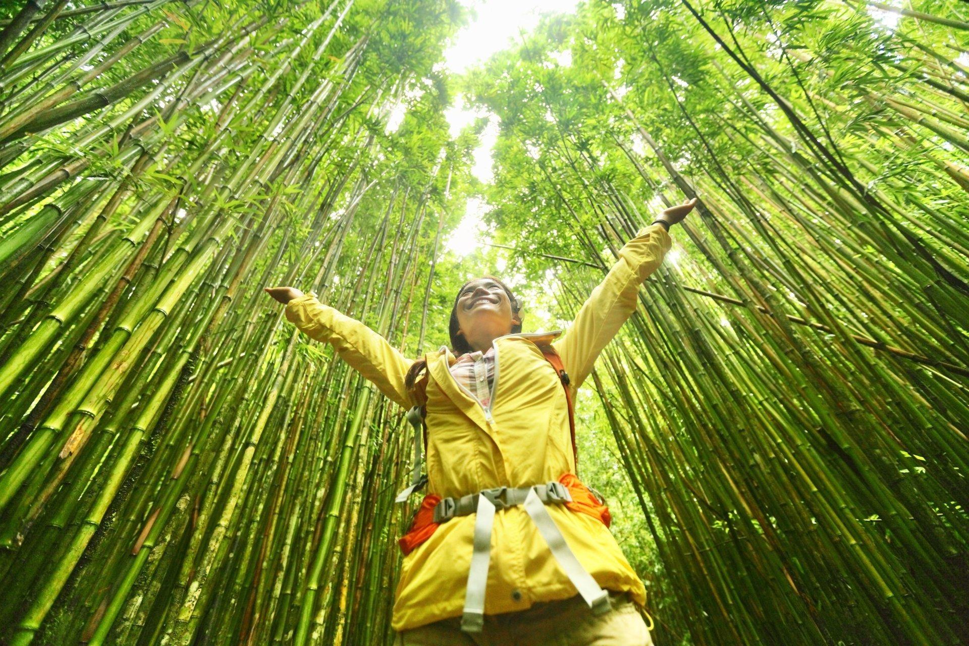 ¿Por qué Costa Rica es líder en turismo sostenible en las Américas?