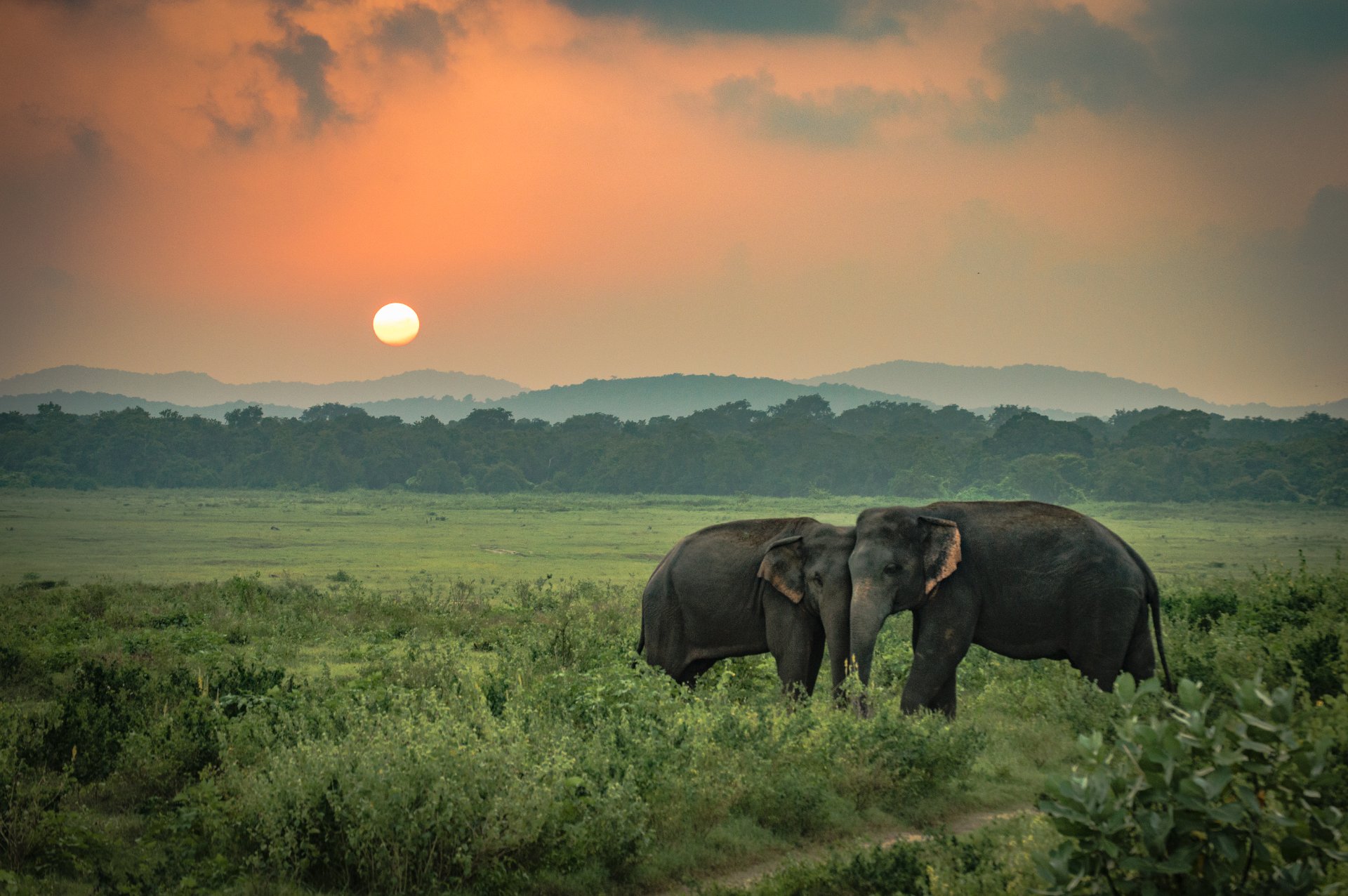 La isla de los mil nombres (Sri Lanka)