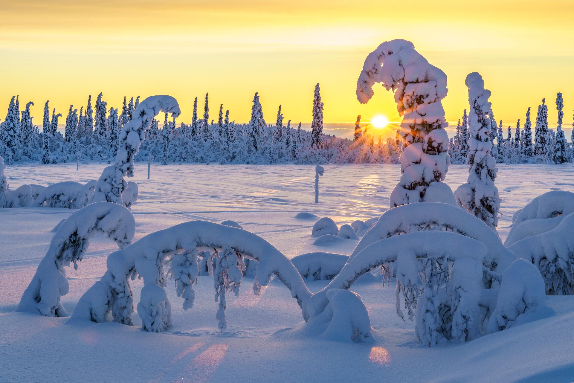 Luces mágicas en Suecia y Finlandia