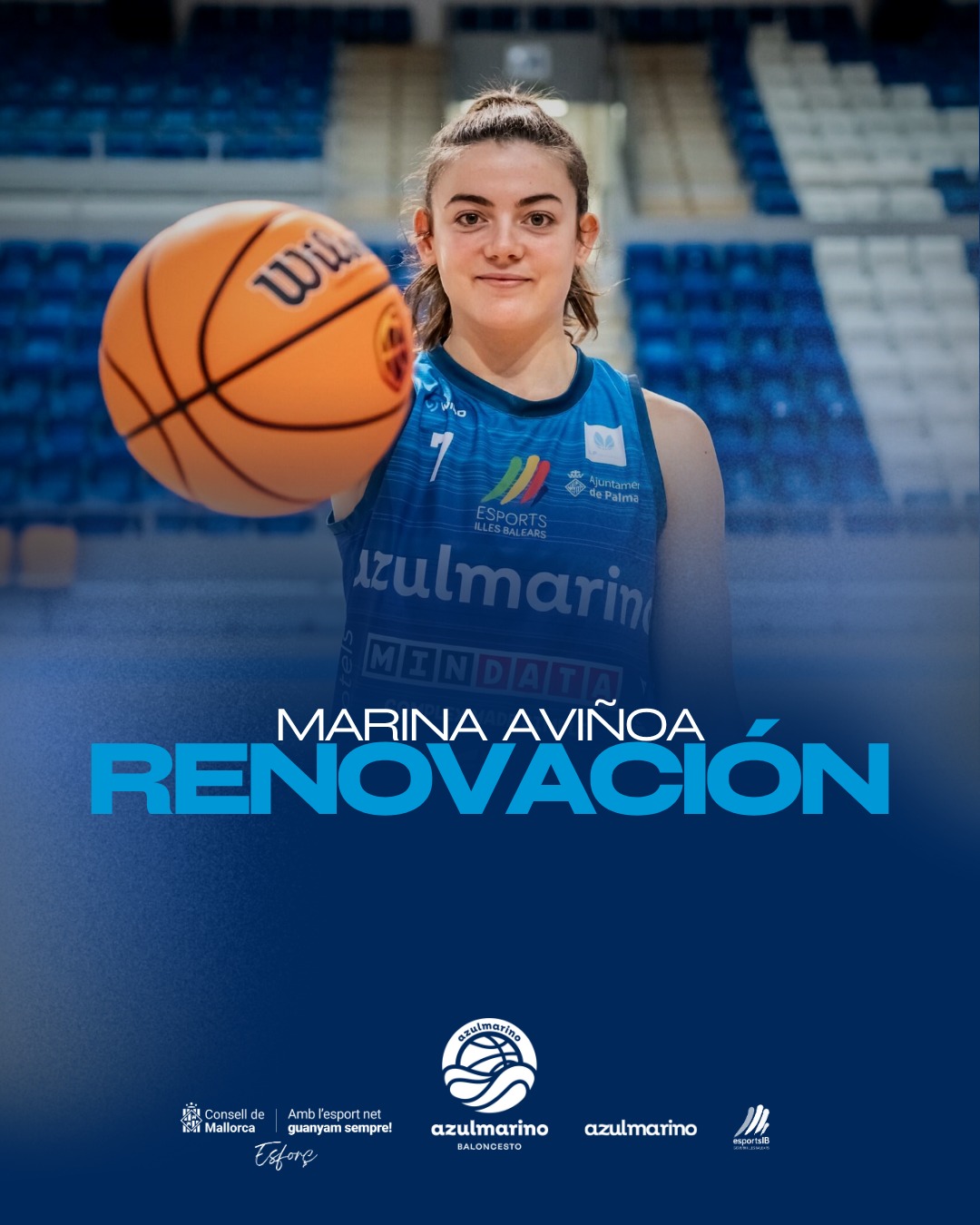 azulmarinomarinaavinoa