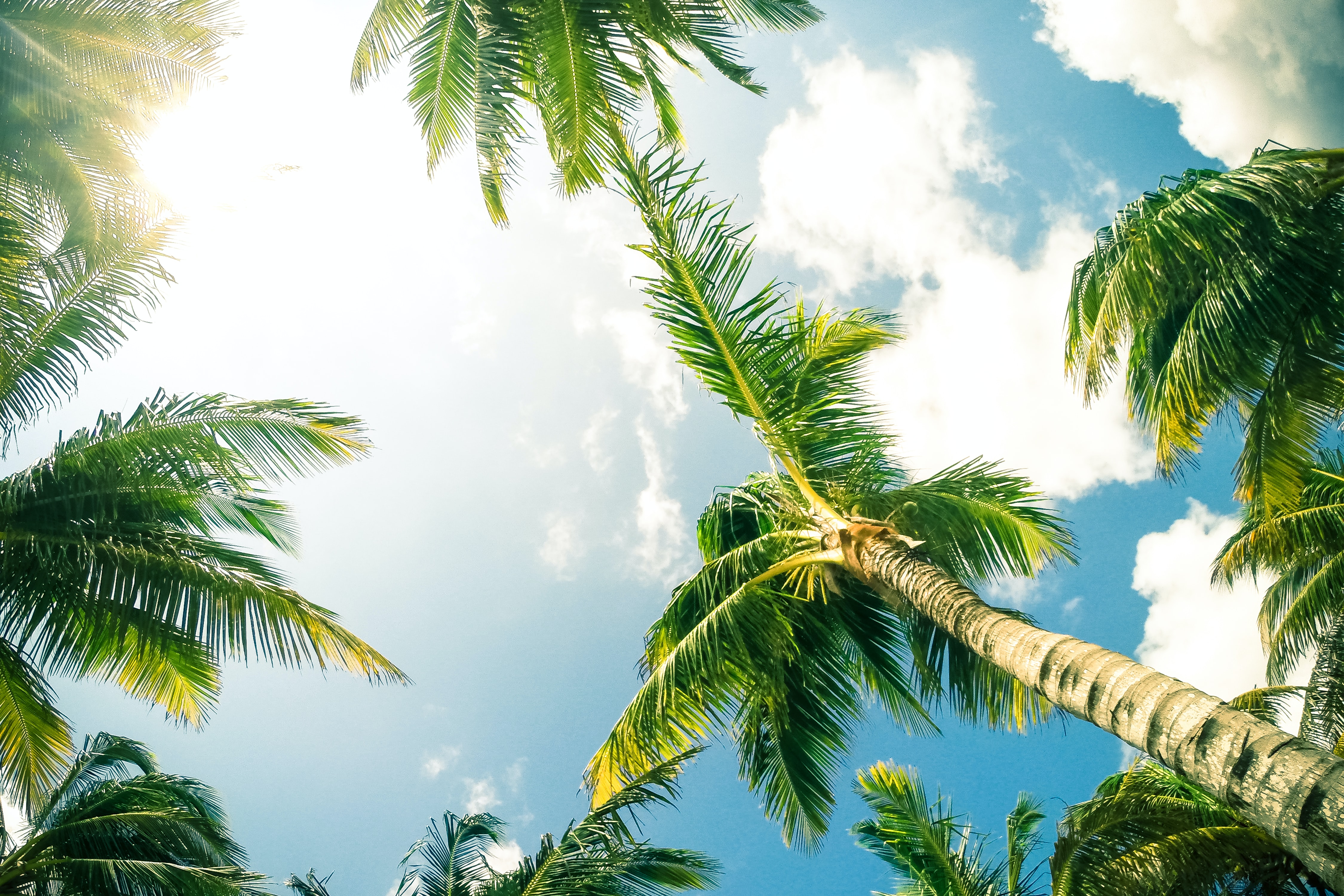 Úbico Sports gestionará los desplazamientos del Lenovo Tenerife