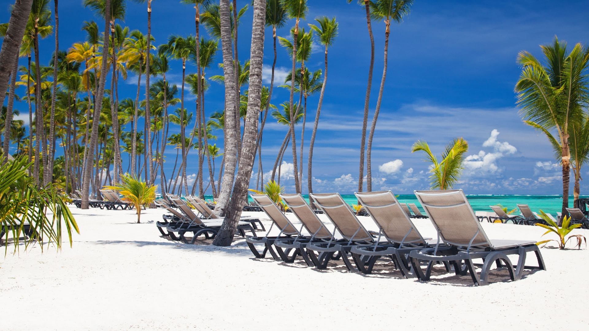 Las mejores playas del Caribe: paraísos que debes visitar, image size:1920x1080